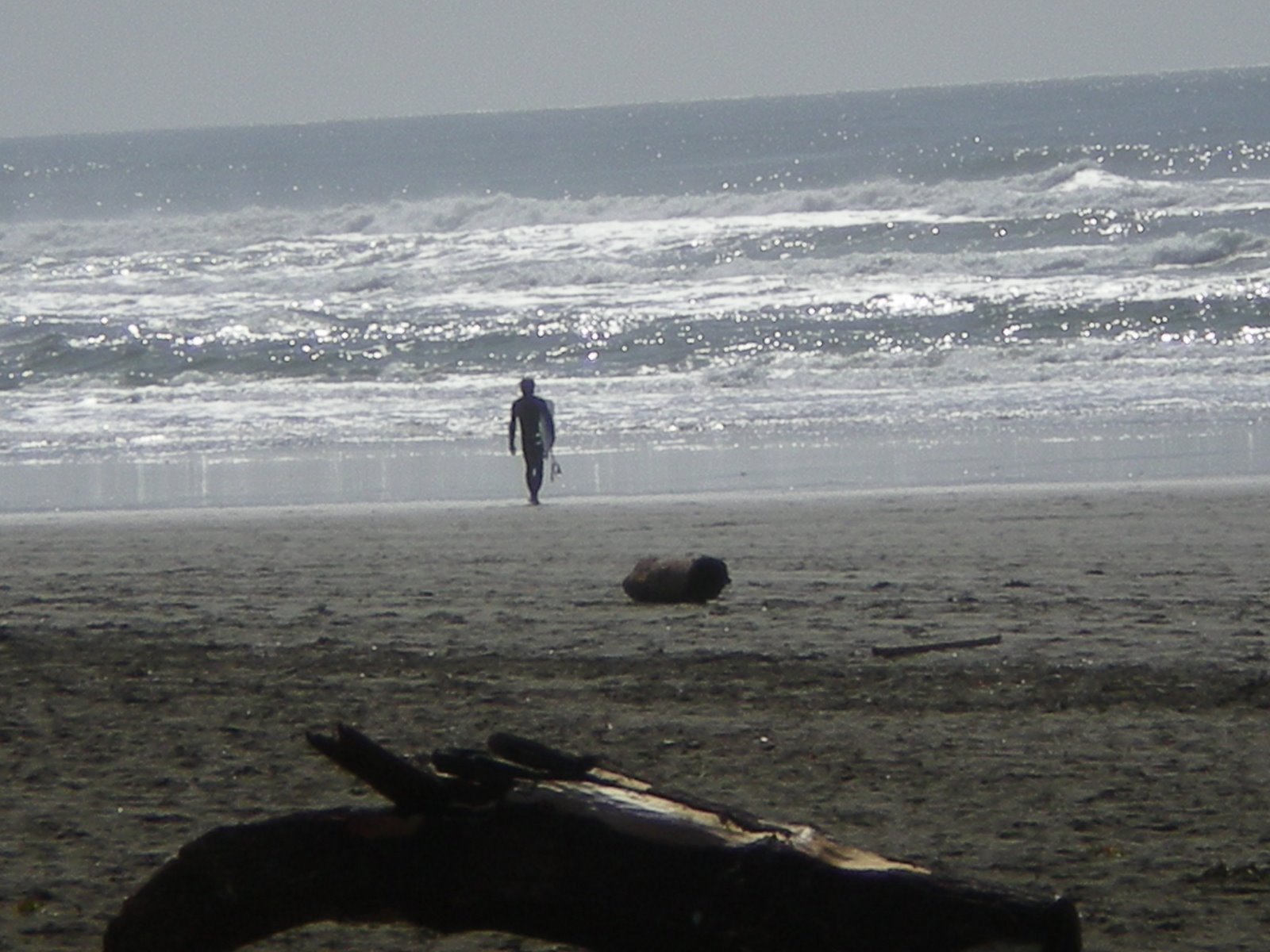 [surfer+on+the+beach+3.08.jpg]