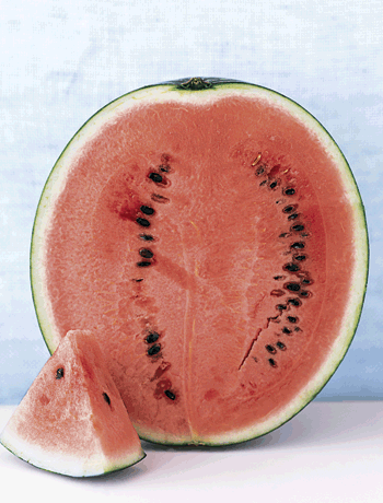 [watermelon.gif]