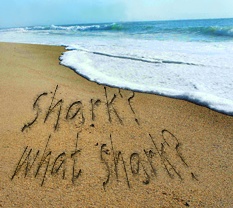 [shark.jpg]