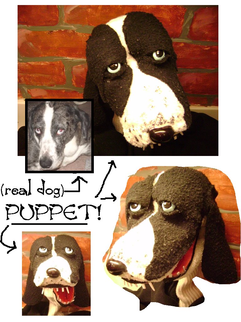[Kurts+dog+puppet.jpg]