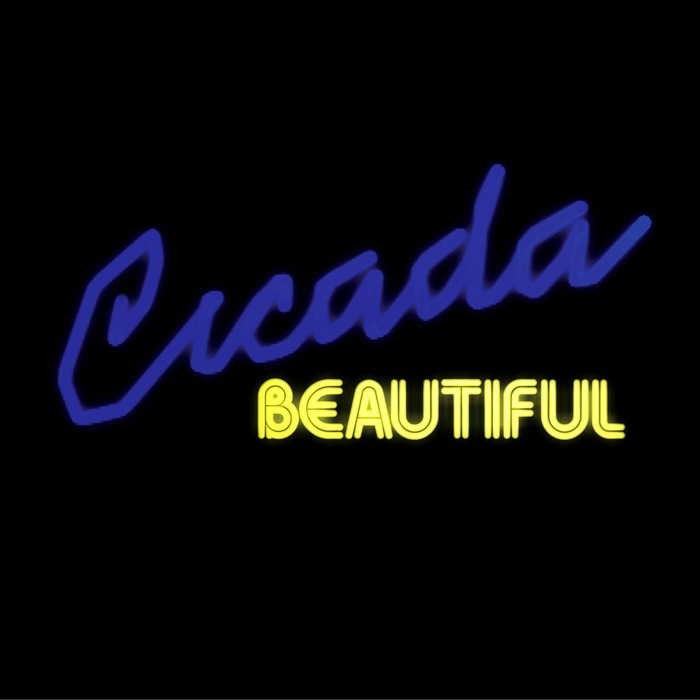 [cicada-beautiful.jpg]