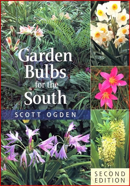 [Garden+Bulbs+for+the+South+pic.JPG]