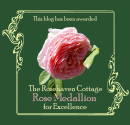 [Rose+Medallion+for+Excellence+copy.jpg]