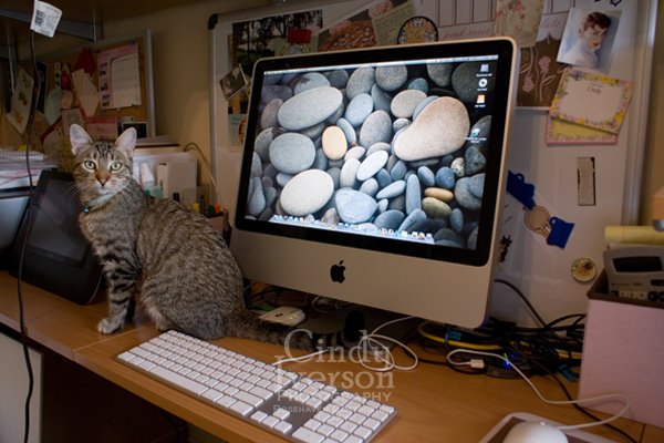 [Lucy+and+the+new+iMac.jpg]