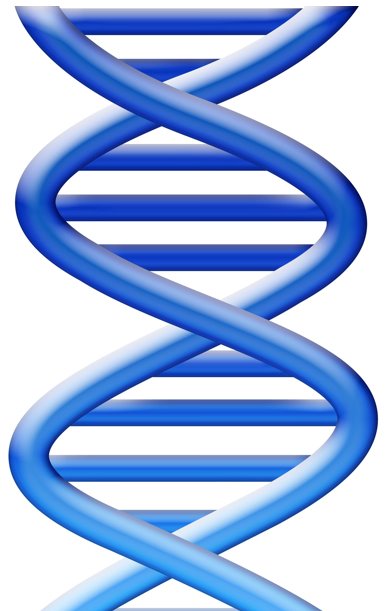 [DNA.jpg]