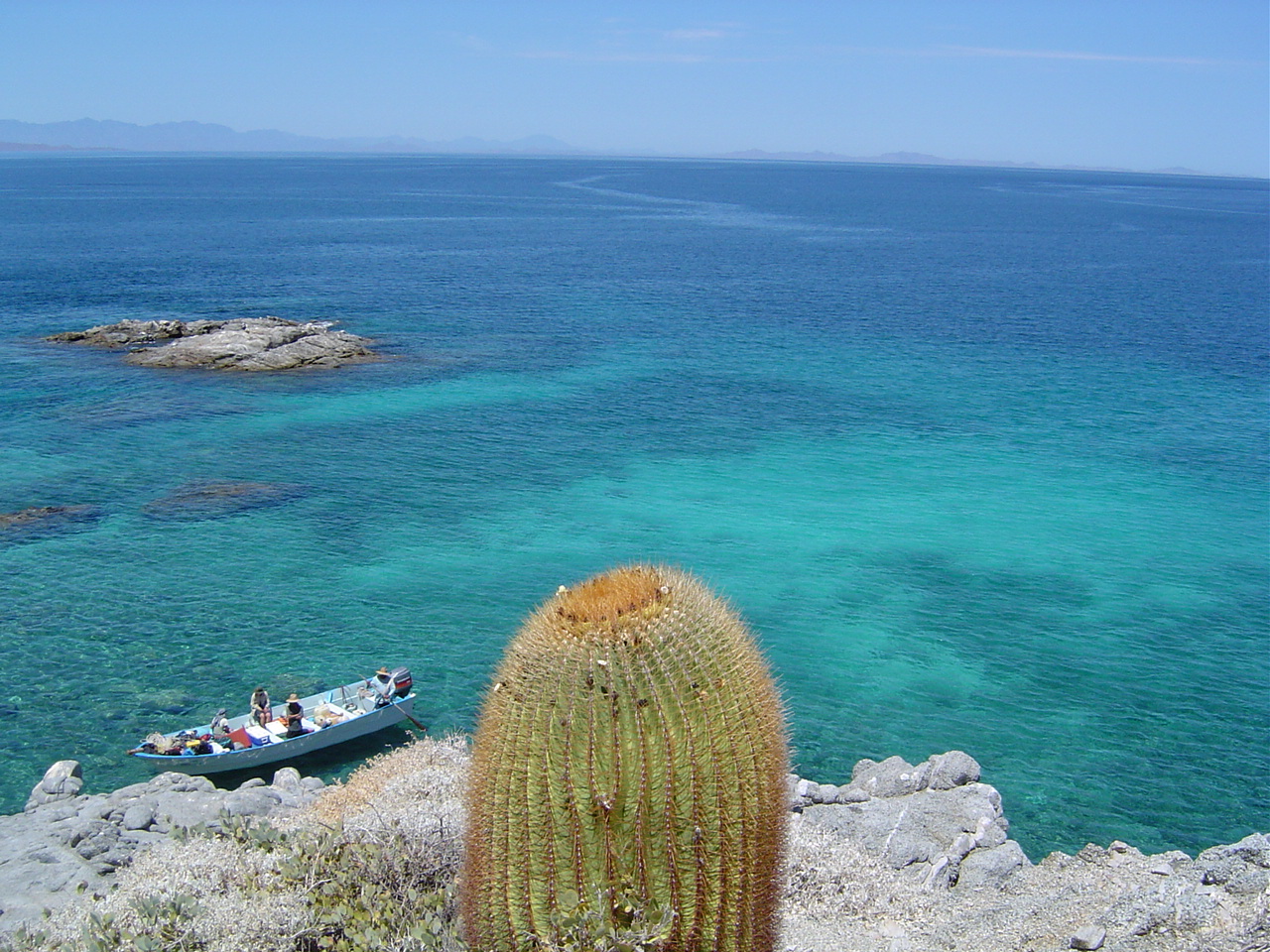 [cactus+vista+catalains.jpg]