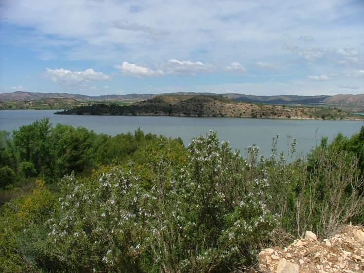 [rosemary+lake+river+Ebro.jpg]