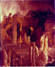 GUIDED TOUR TO THE GROTTE DI FRASASSI