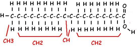 Molécula de ácido oleico, con sus CH, varios CH2, un CH3, el COOH 