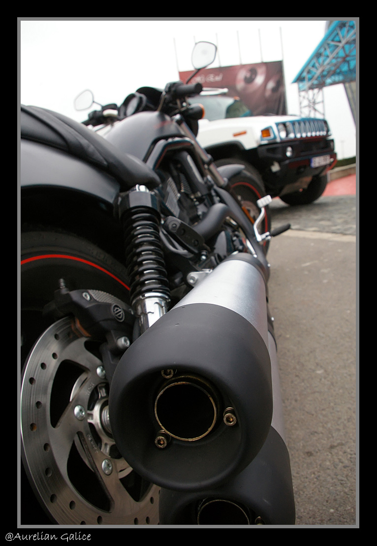 [Harley+Davidson+backside+copy.jpg]