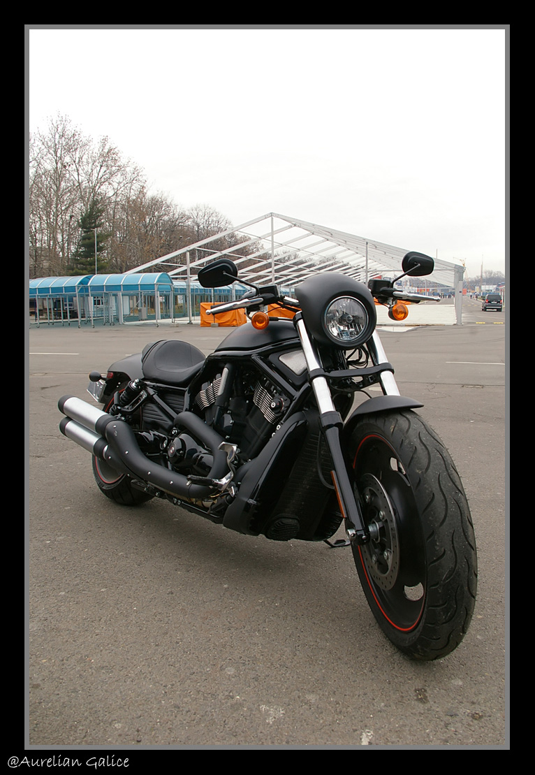 [Harley+Davidson+1+copy.jpg]