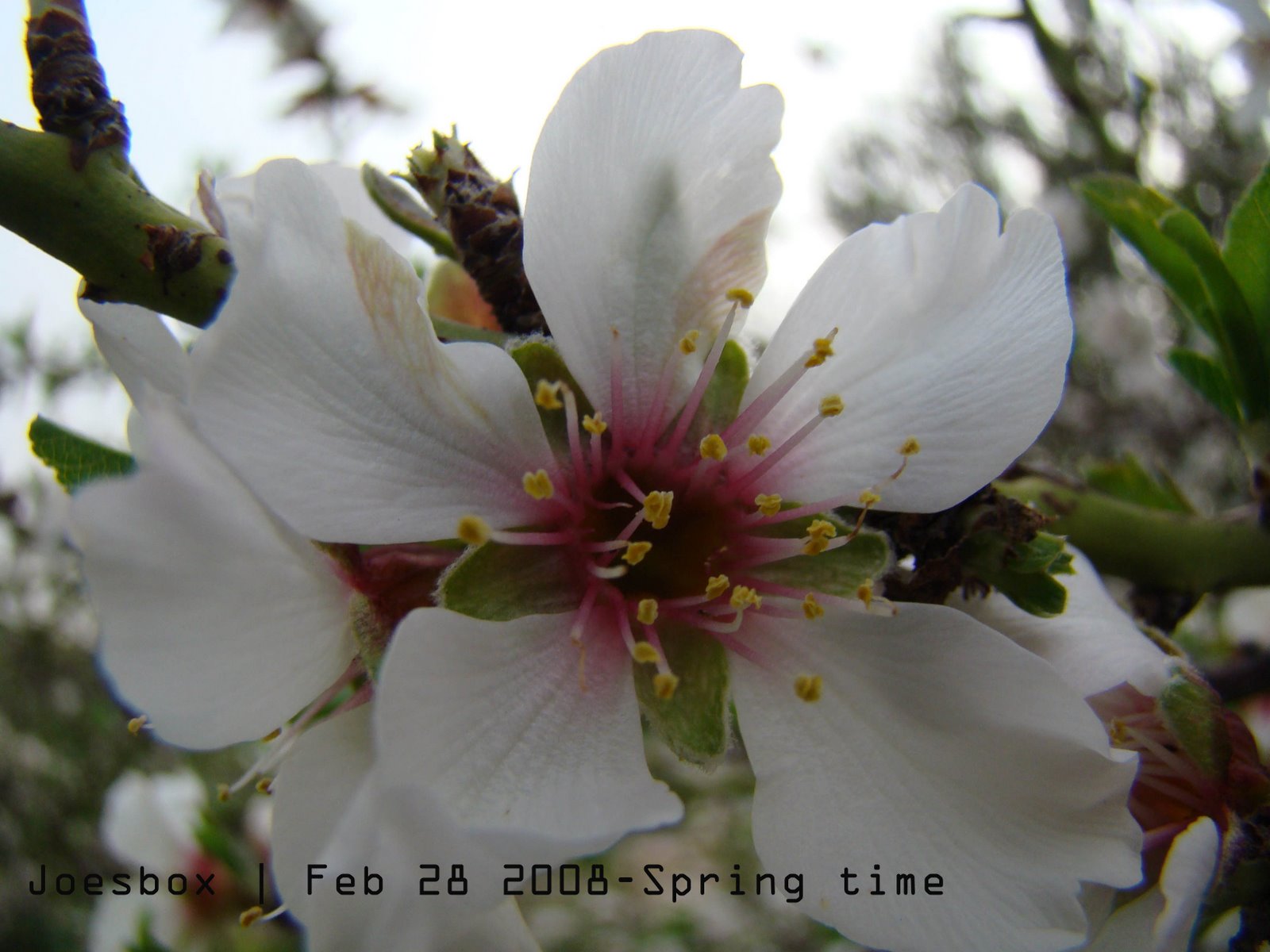 [spring+7.jpg]