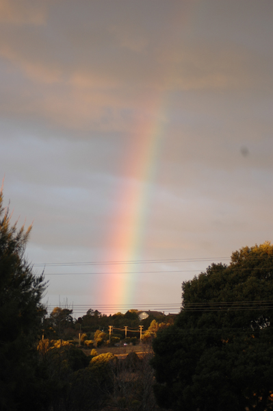 [rainbow+over+Ranelagh.jpg]