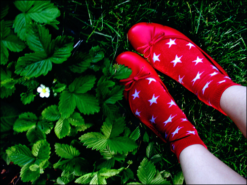 [red_shoes_in_green_grass_by_freelans.jpg]