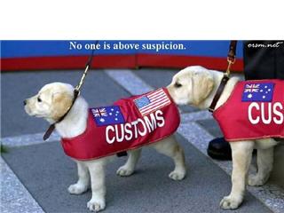 [customs+dogs.jpg]