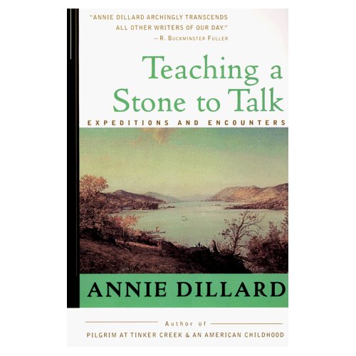 [Teaching+a+Stone+to+Talk+cover.jpg]