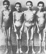 Auschwitz, the meaning of pain..