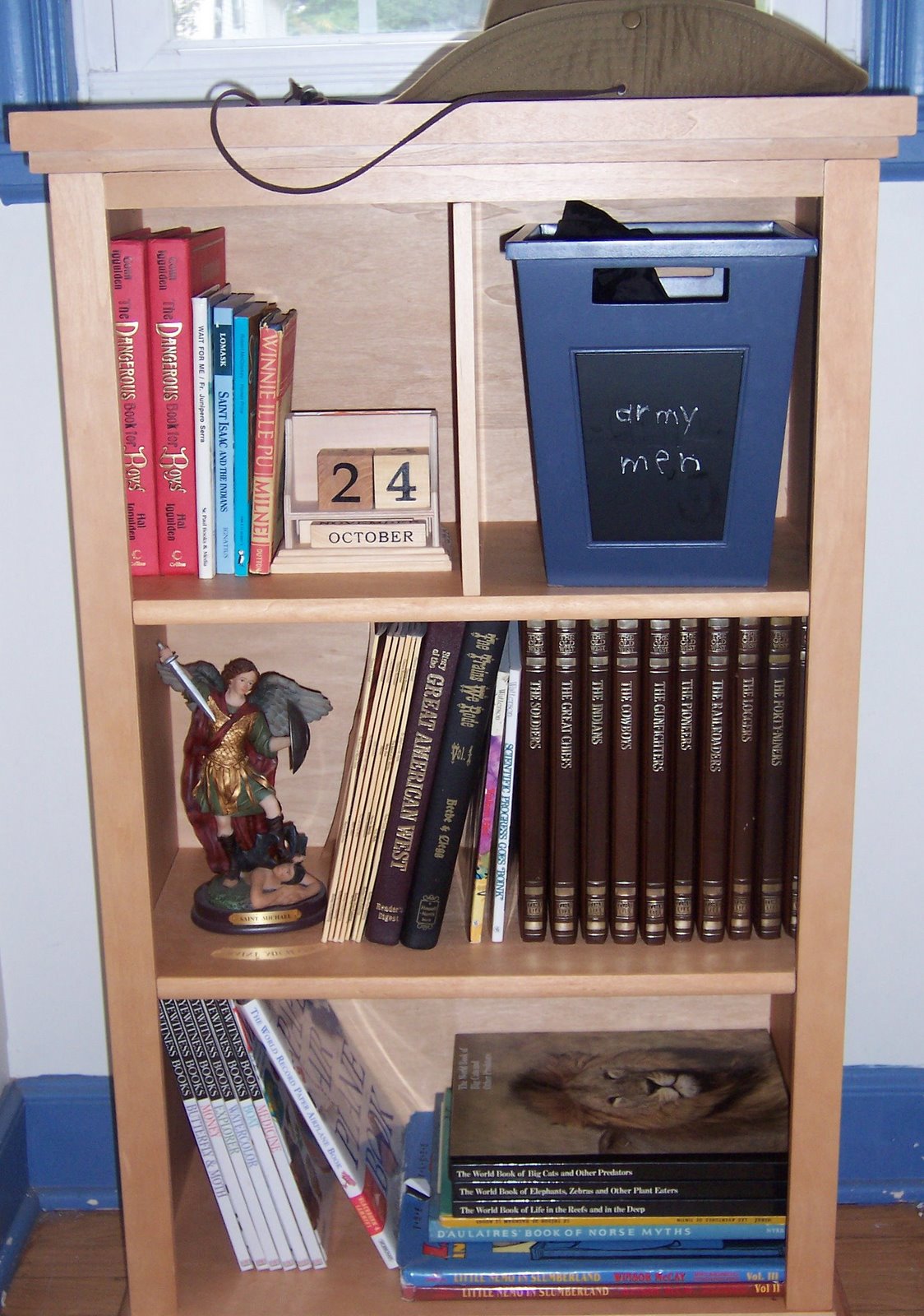 [A+Boy's+Bookshelf.jpg]