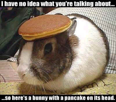 [bunny_pancake.jpg]