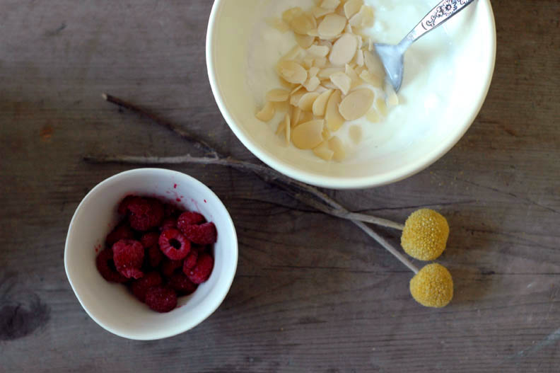 [yogurt+raspberries.monday.jpg]