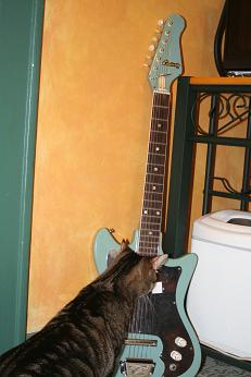 [IMG_4424+guitar+cat.JPG]