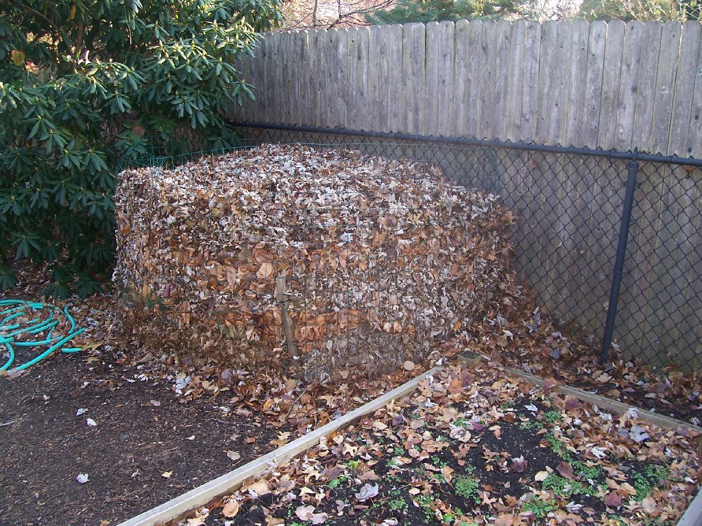 Compost Bin Picture