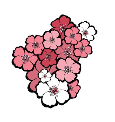 [floral+baja.jpg]