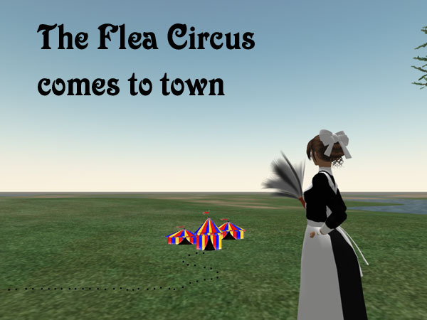 [flea+circus.jpg]