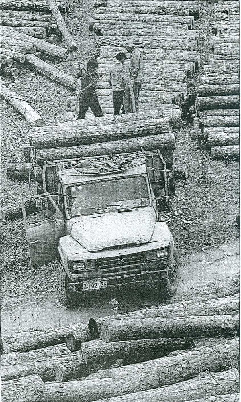 [foto+camion+con+maderas.+republica2.jpg]