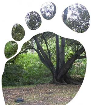 [eco-footprint-image_sm.jpg]