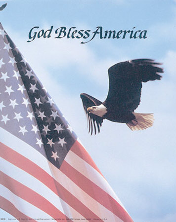 [Eagle-and-US-Flag-Print-C10055017.jpg]