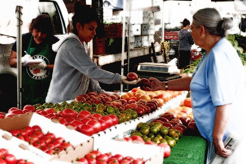 [SM_Farmer's+Market_Tomatoes.jpg]