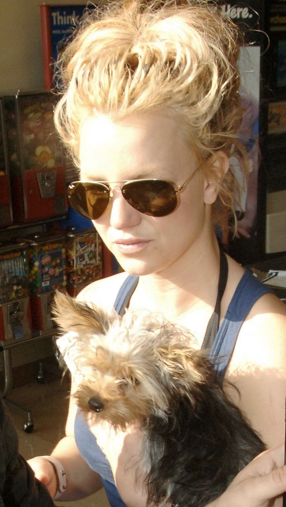 [normal_Britney_arrives_at_Petco_in_Hollywood15.jpg]