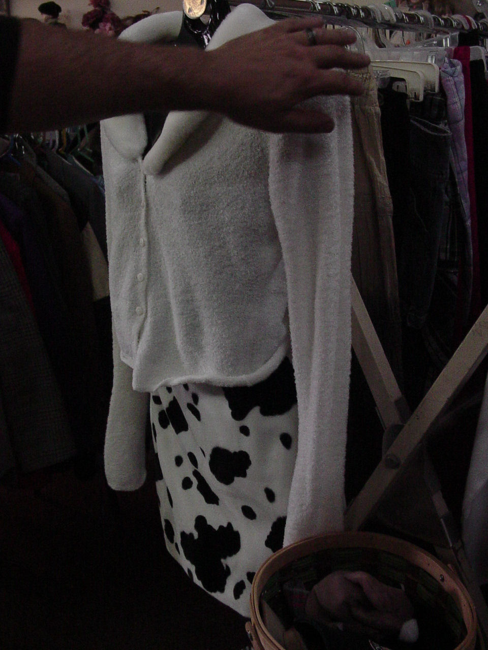 [cow+skirt.jpg]