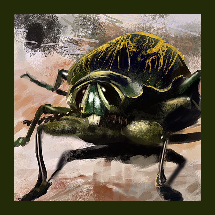 [Beetles.jpg]