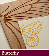 [butterfly-detail.gif]