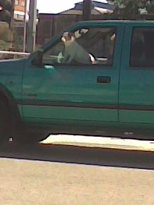 [Dog+in+car.jpg]