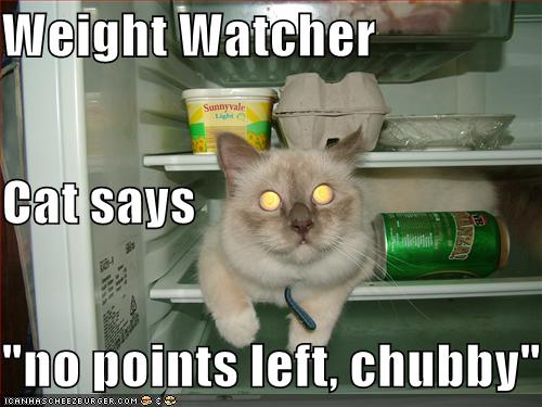 [funny-pictures-weight-watcher-cat-fridge1.jpg]