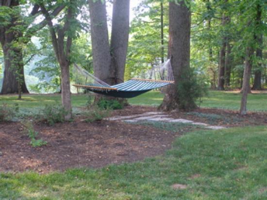[the-hammock-in-the-garden.jpg]
