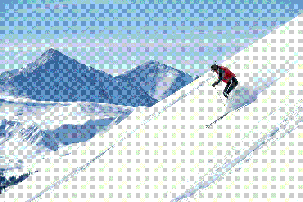 [ski.gif]
