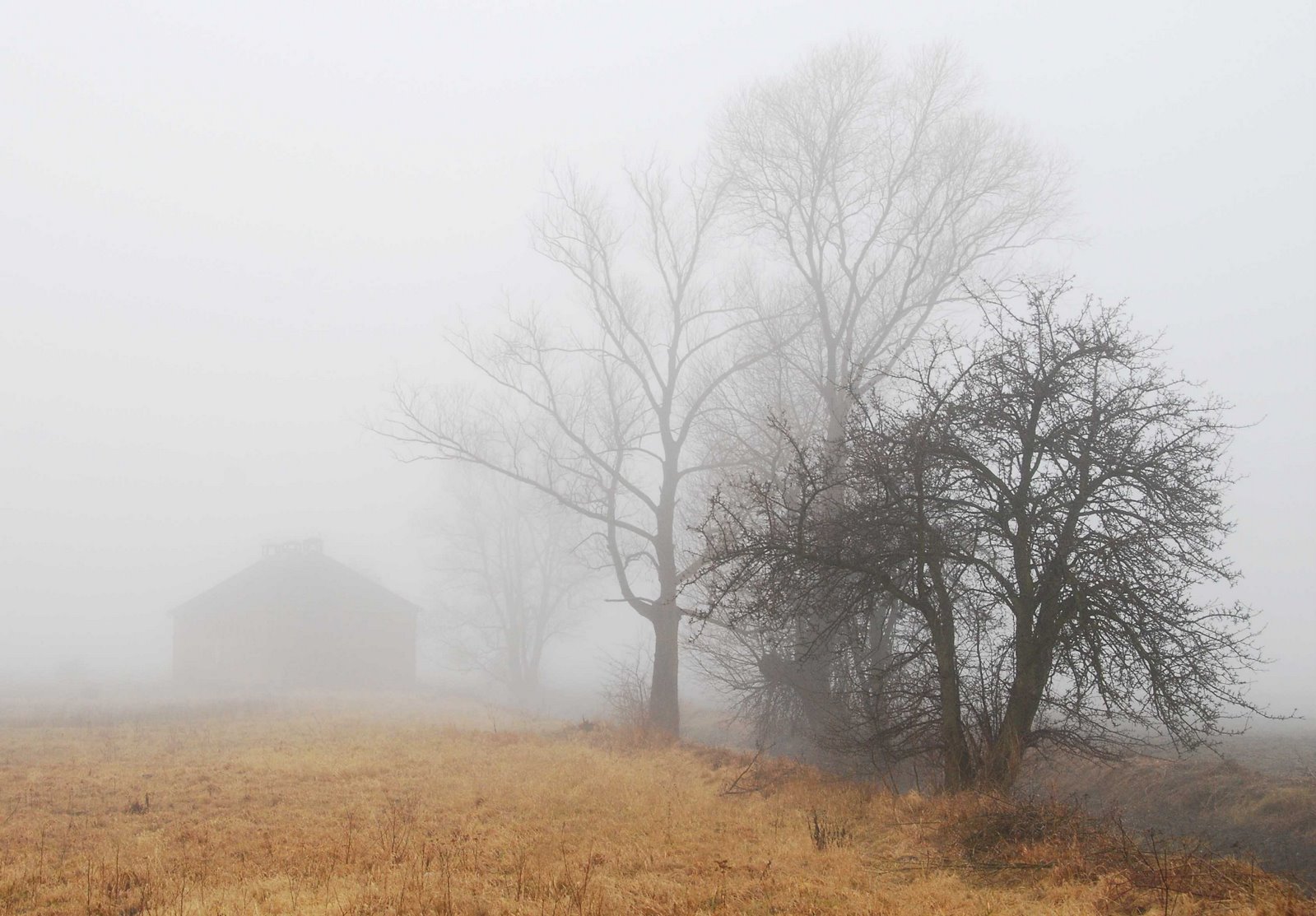 [Dawidy+Bankowe+in+the+fog.jpg]