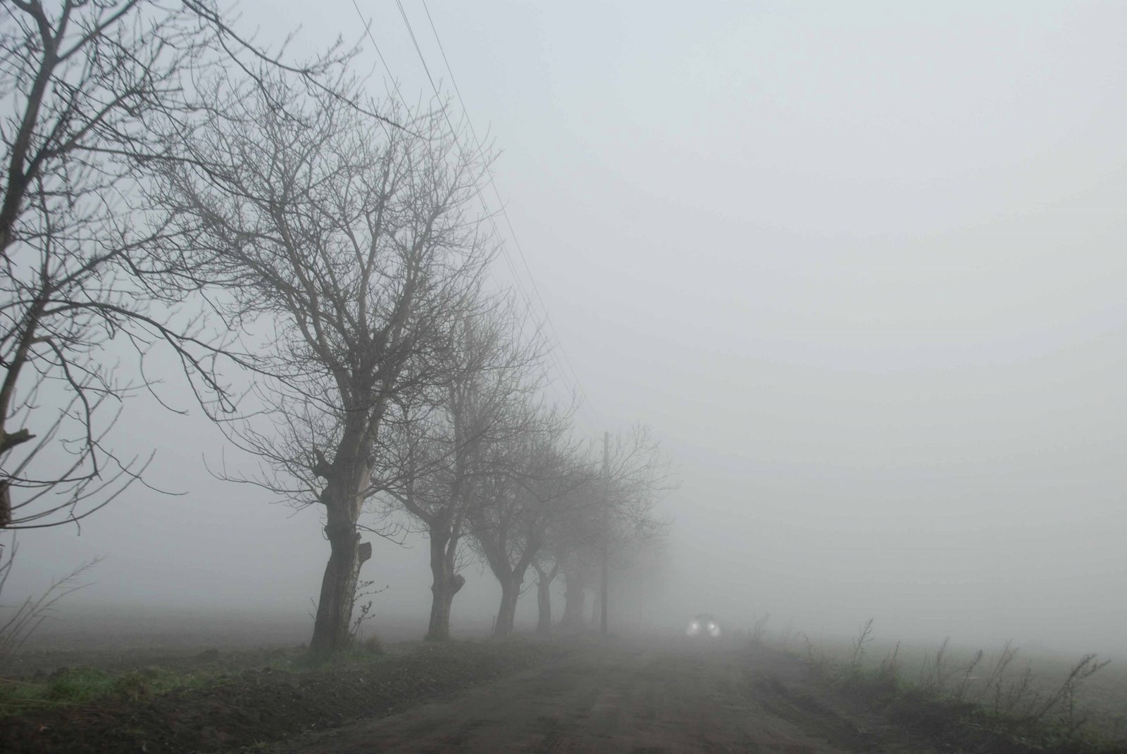 [fog,+poloneza.jpg]