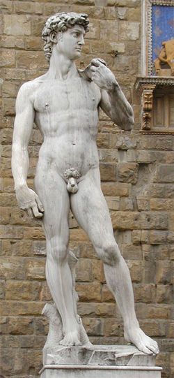 [250px-David_by_Michelangelo_in_Florenz.jpg]