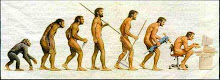 Еволуција на човекот?