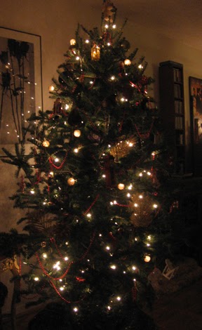 [dressed+christmas+tree.jpg]