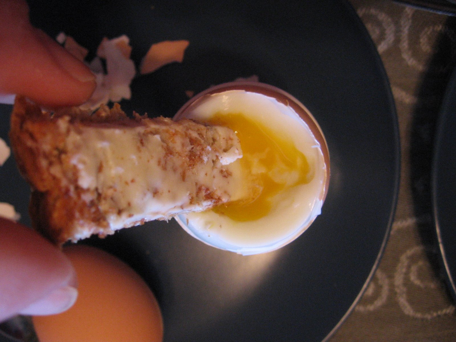 [dipping+toast+in+egg.jpg]