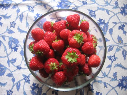 [cottage+2008+strawberries+in+bowl.jpg]