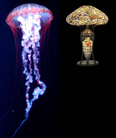 [medusa+++tifanny-707765.jpg]