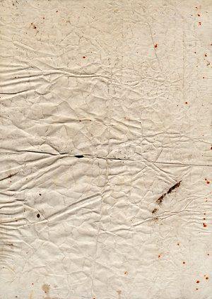 [Grungy_paper_texture_v_11_by_bashcorpo.jpg]