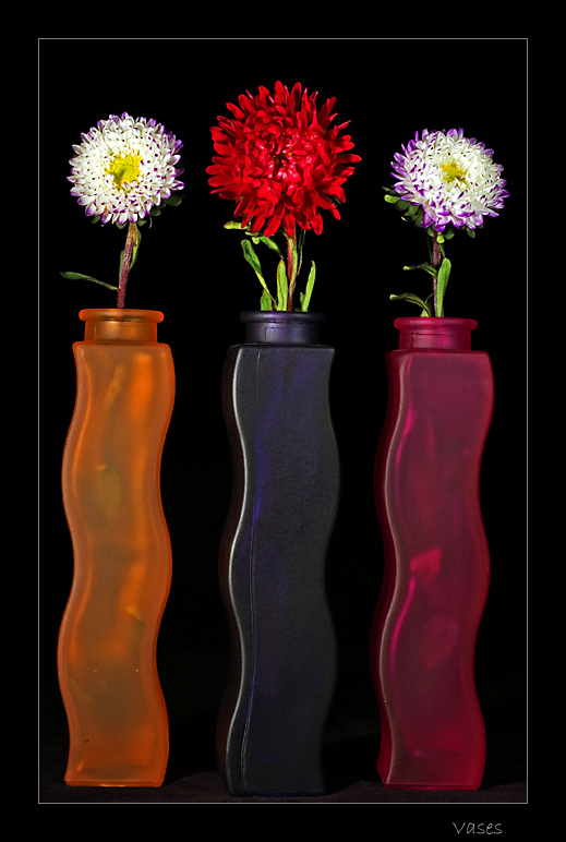 [August+28+~+Vases+P.jpg]